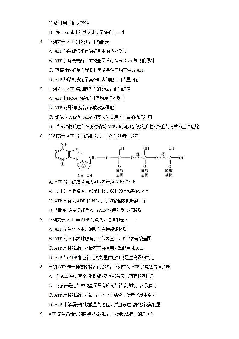 4.2 ATP 同步练习 北师大版(2019)高中生物必修一第2页