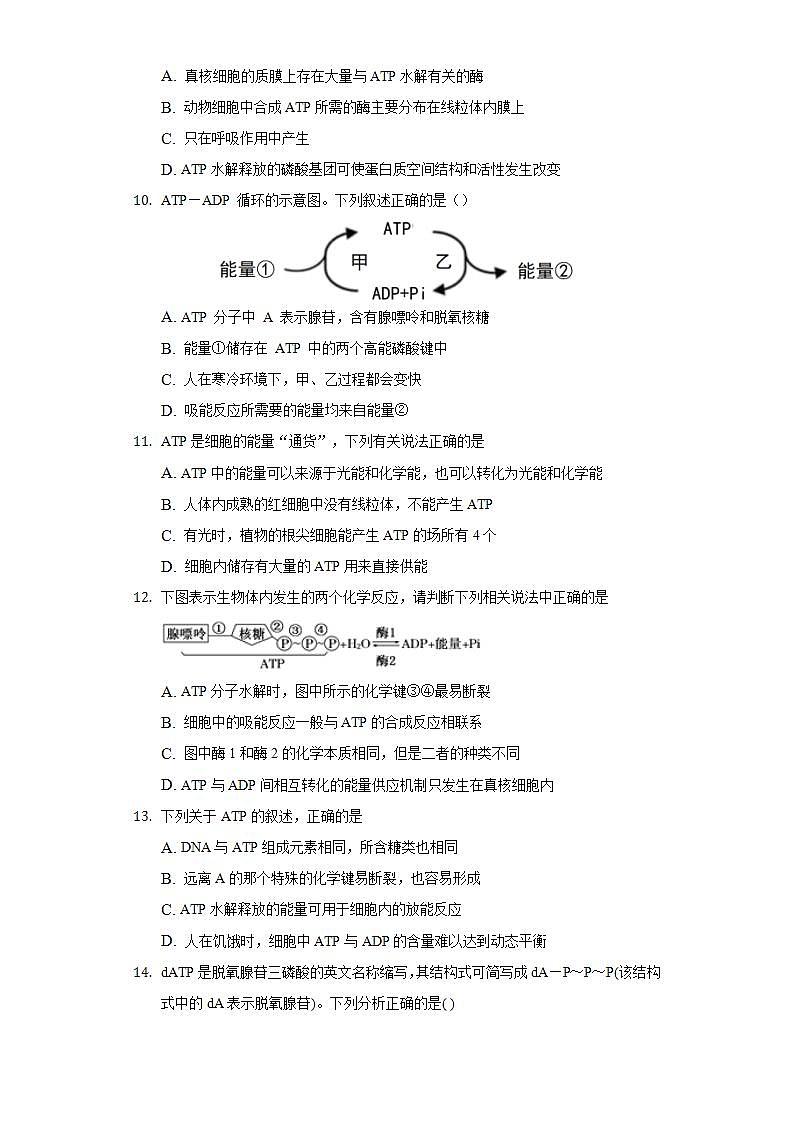 4.2 ATP 同步练习 北师大版(2019)高中生物必修一第3页