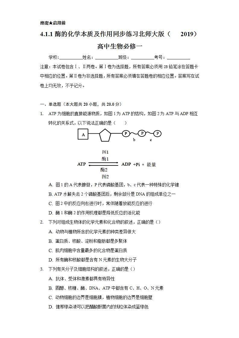 4.1.1酶的化学本质及作用 同步练习  北师大版(2019)高中生物必修一01
