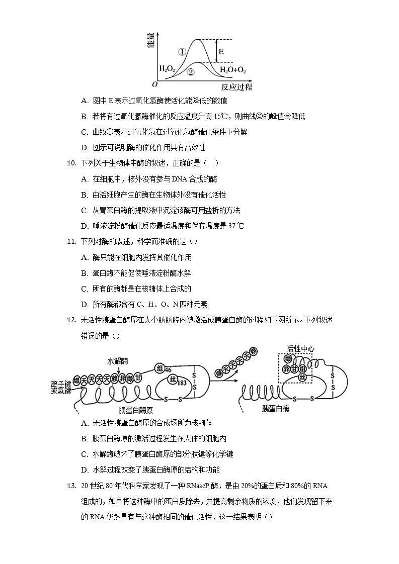 4.1.1酶的化学本质及作用 同步练习  北师大版(2019)高中生物必修一03