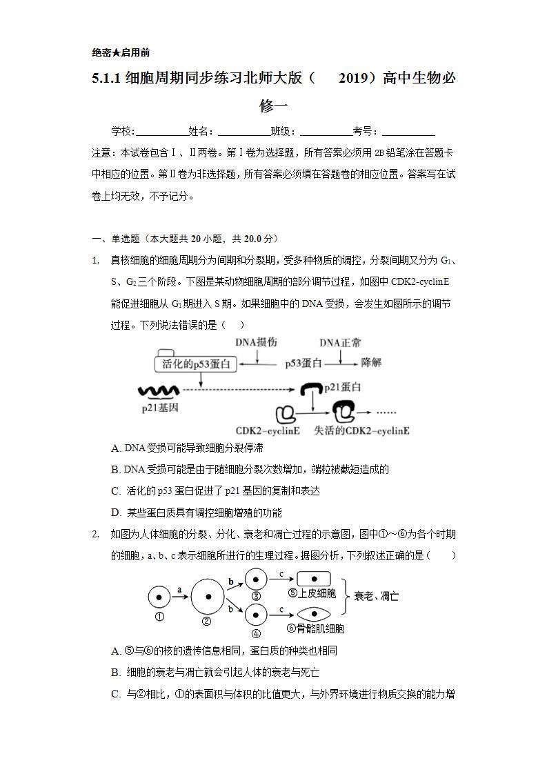 5.1.1细胞周期 同步练习  北师大版（2019）高中生物必修一01