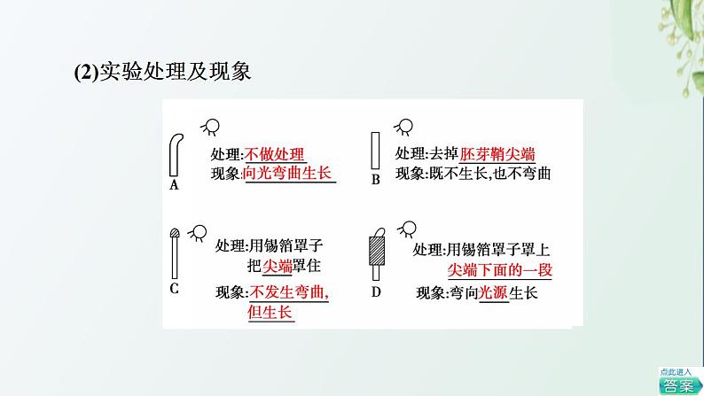 新教材高中生物第5章植物生命活动的调节第1节植物生长素课件新人教版选择性必修105
