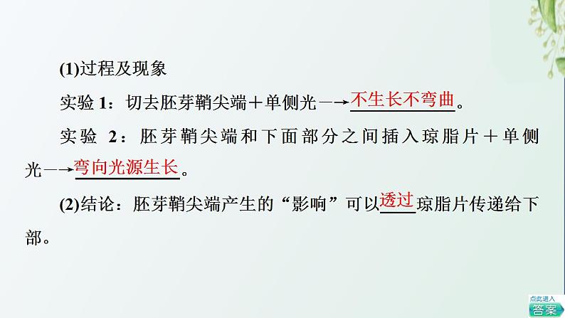 新教材高中生物第5章植物生命活动的调节第1节植物生长素课件新人教版选择性必修108