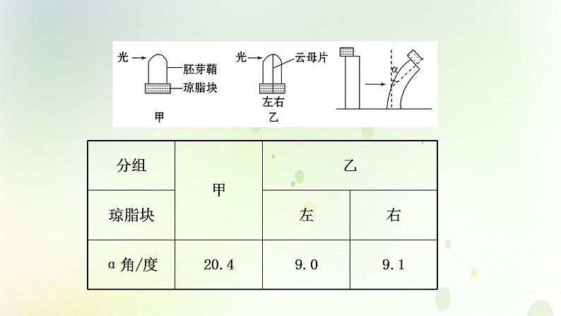 江苏专版2021届高考生物二轮复习专题10植物的激素调节课件第8页