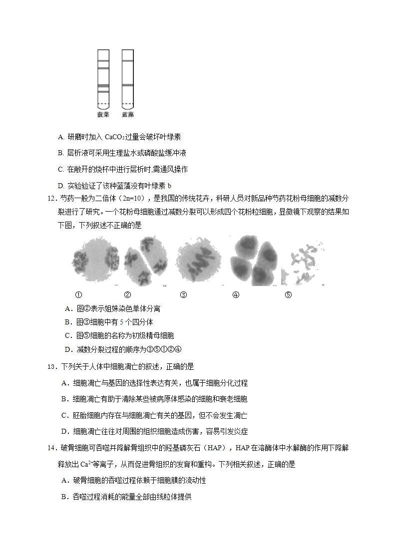 江苏省启东市、通州区2020-2021学年高一上学期学期期末学业质量监测生物试题（含答案）03