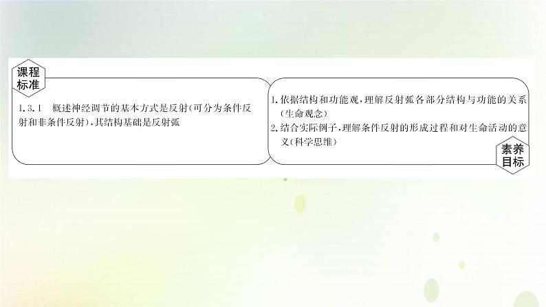 新教材高中生物第2章神经调节第2节神经调节的基本方式课件新人教版选择性必修第一册02