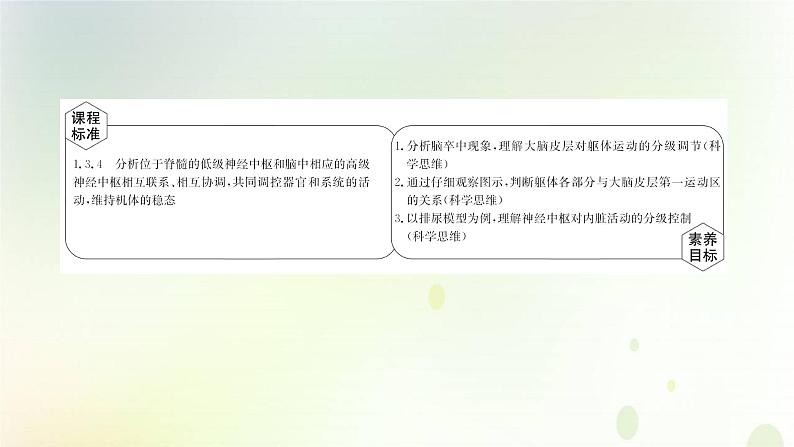 新教材高中生物第2章神经调节第4节神经系统的分级调节课件新人教版选择性必修第一册第2页