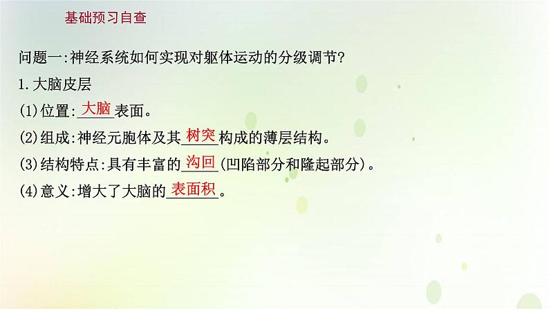 新教材高中生物第2章神经调节第4节神经系统的分级调节课件新人教版选择性必修第一册第3页