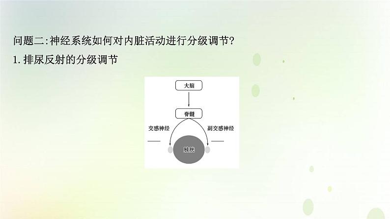 新教材高中生物第2章神经调节第4节神经系统的分级调节课件新人教版选择性必修第一册第5页