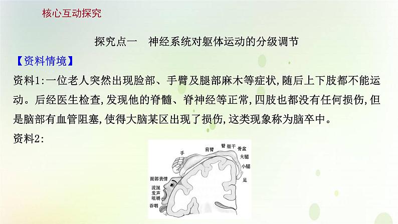 新教材高中生物第2章神经调节第4节神经系统的分级调节课件新人教版选择性必修第一册第7页