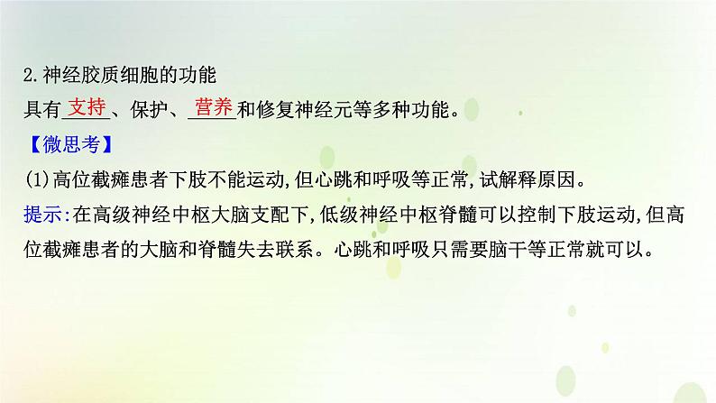 新教材高中生物第2章神经调节第1节神经调节的结构课件新人教版选择性必修第一册课件PPT第5页
