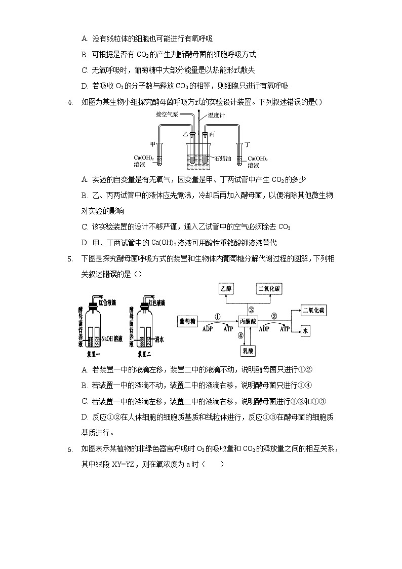 3.3细胞呼吸——能量的转化和利用 同步练习苏教版(2019)高中生物必修一02