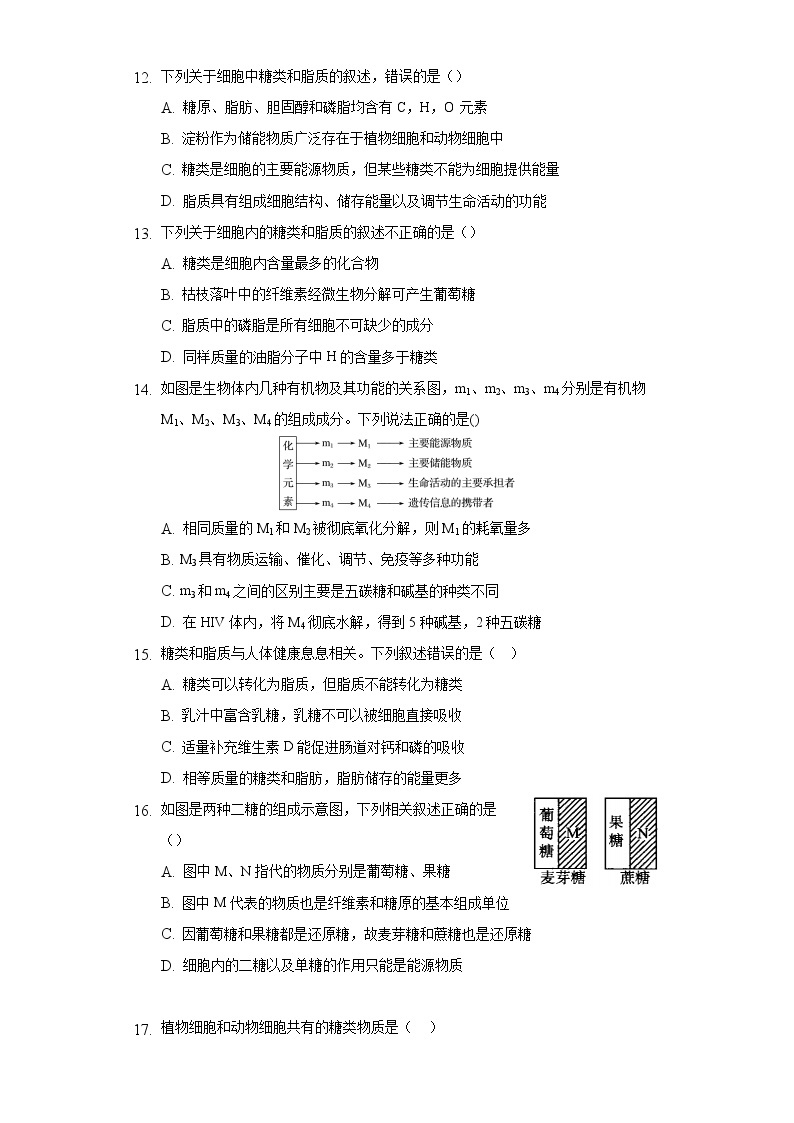 1.2.2糖类是细胞的重要结构成分和主要能源物质  同步练习苏教版(2019)高中生物必修一03