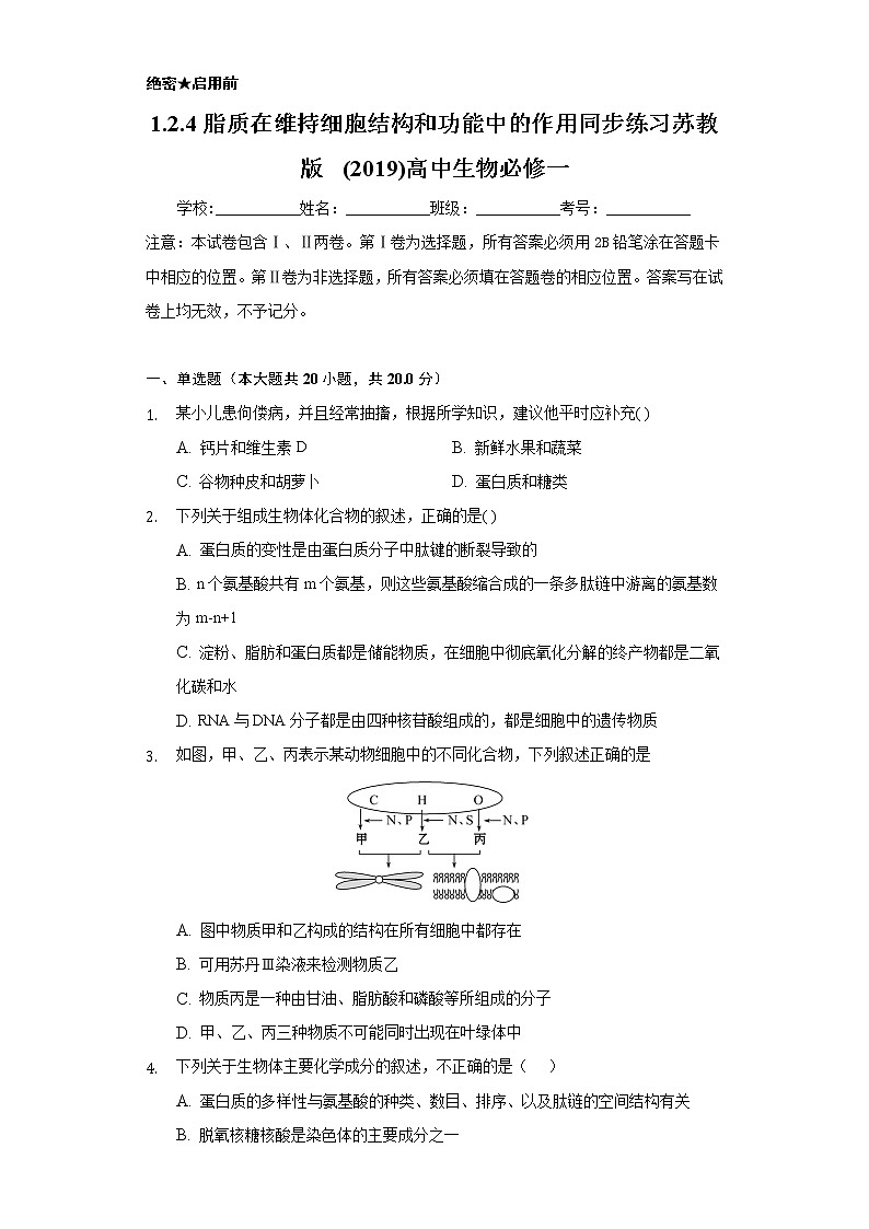 1.2.4脂质在维持细胞结构和功能中的作用 同步练习苏教版(2019)高中生物必修一01