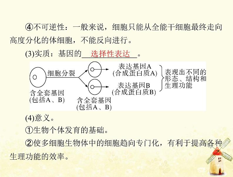高考生物一轮复习第6章细胞的生命历程第234节细胞的分化衰老凋亡和癌变课件必修1第3页