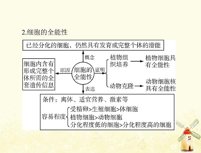 高考生物一轮复习第6章细胞的生命历程第234节细胞的分化衰老凋亡和癌变课件必修1第5页