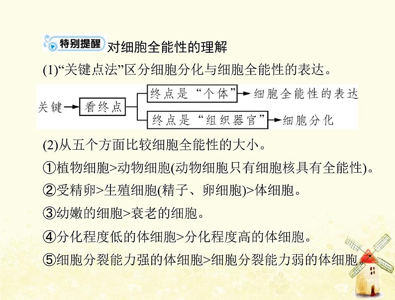 高考生物一轮复习第6章细胞的生命历程第234节细胞的分化衰老凋亡和癌变课件必修1第7页