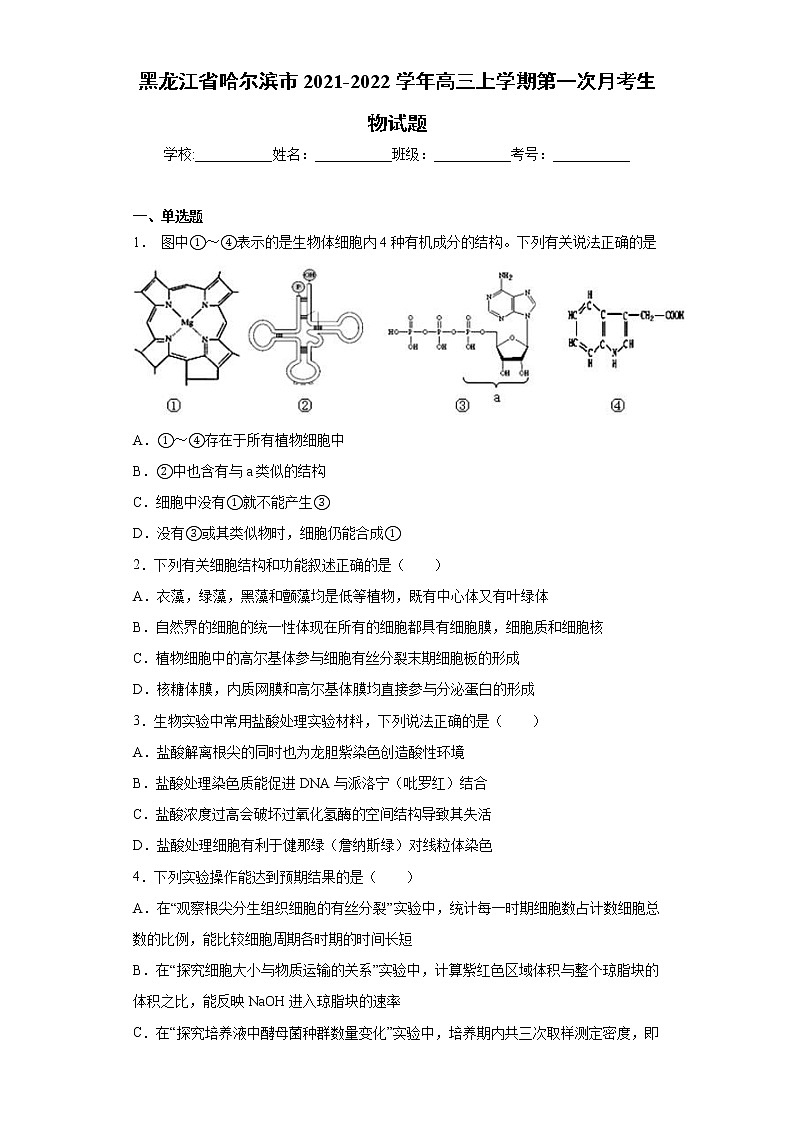 黑龙江省哈尔滨市2021-2022学年高三上学期第一次月考生物试题(word版含答案)01