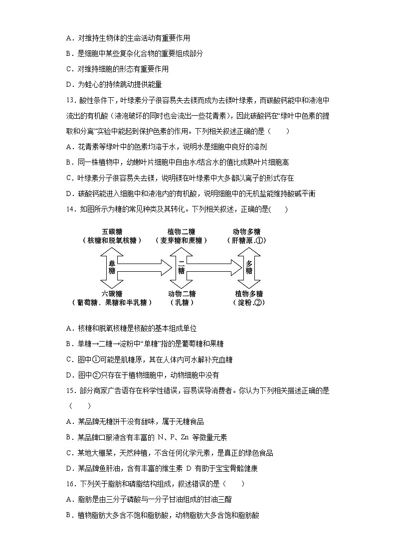 云南省曲靖市沾益区2021-2022学年高一10月月考生物试题(word版含答案)第3页
