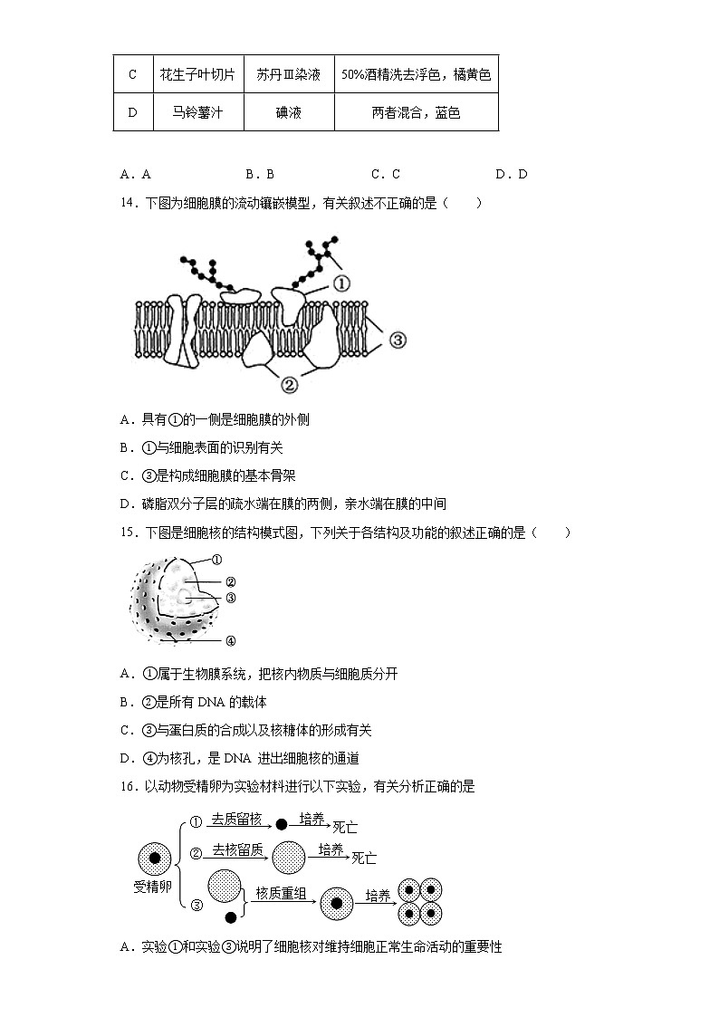 浙江省金华市浦江县2021-2022学年高一上学期第一次月考生物试题(word版含答案)第3页