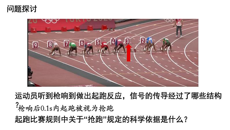 2.3神经冲动的产生和传导(3课时)课件PPT01