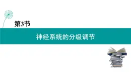 2.4 神经系统的分级调节课件PPT