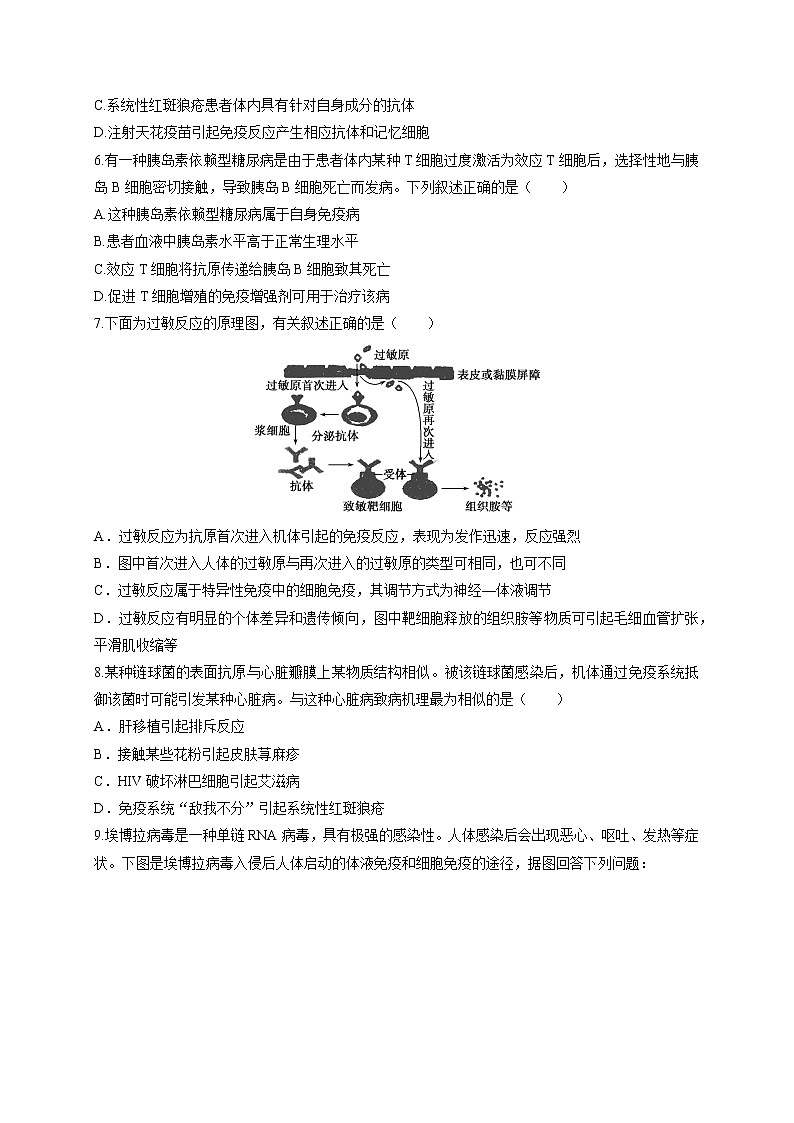新人教版高中生物必修三 2.4 免疫调节课后作业(4)第2页