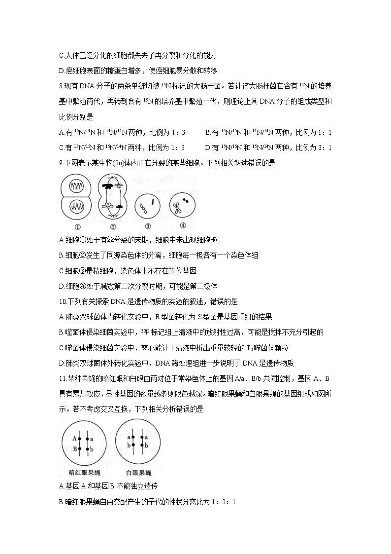 河北省邢台市“五岳联盟”2022届高三上学期10月联考 生物 含答案 试卷03