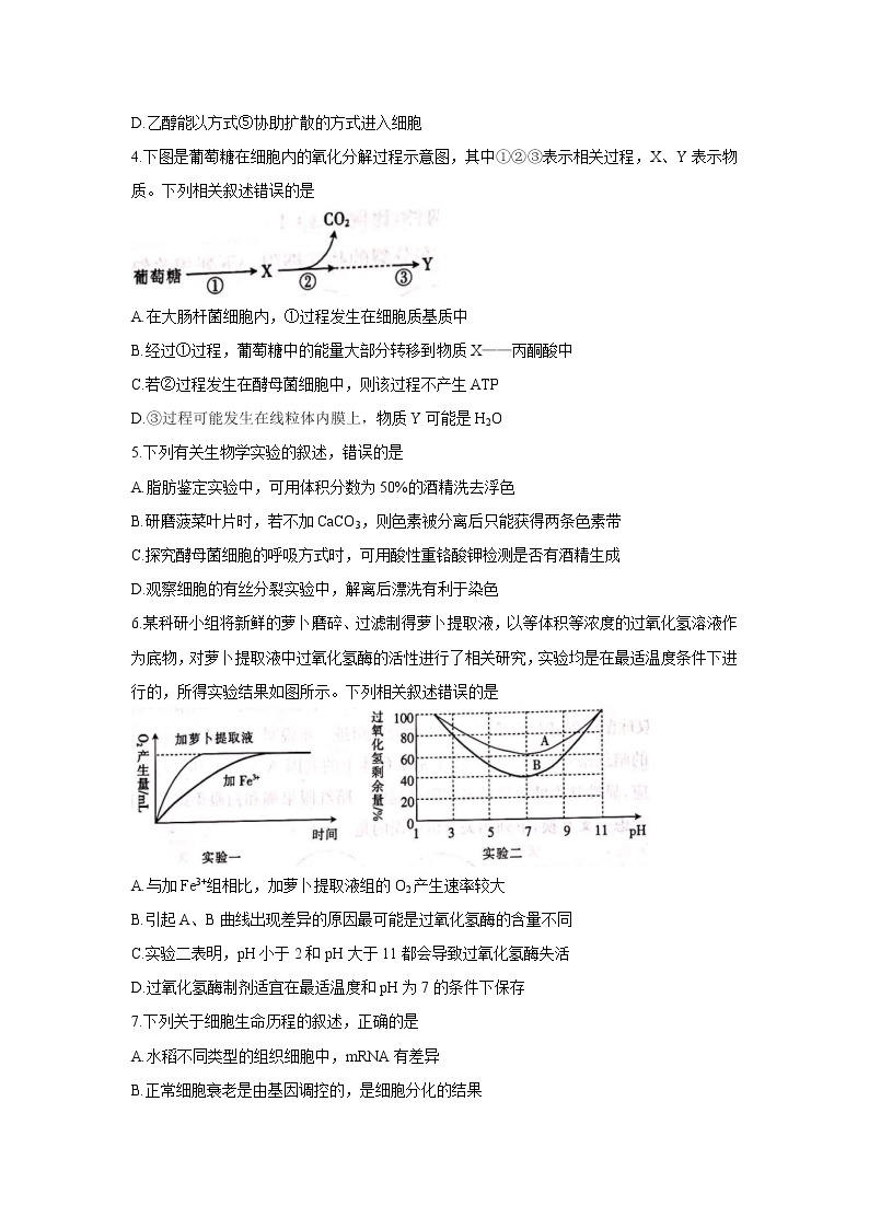 河北省邢台市“五岳联盟”2022届高三上学期10月联考 生物 含答案 试卷02