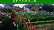 高中生物浙科版选修3 《现代生物科技专题》第二节  生态工程在农业中的应用示范课ppt课件