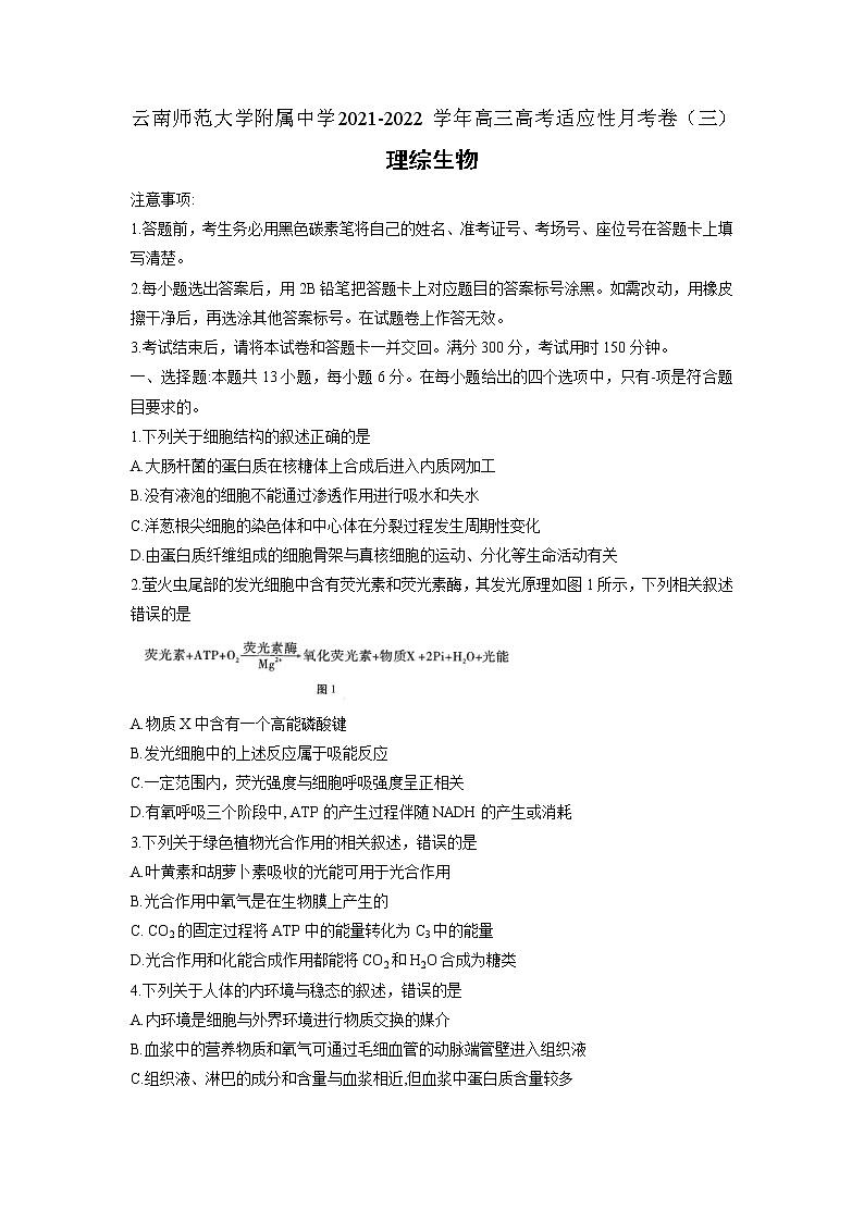 2022届云南省师范大学附属中学高三上学期高考适应性月考卷(三)理科综合生物试题含答案第1页