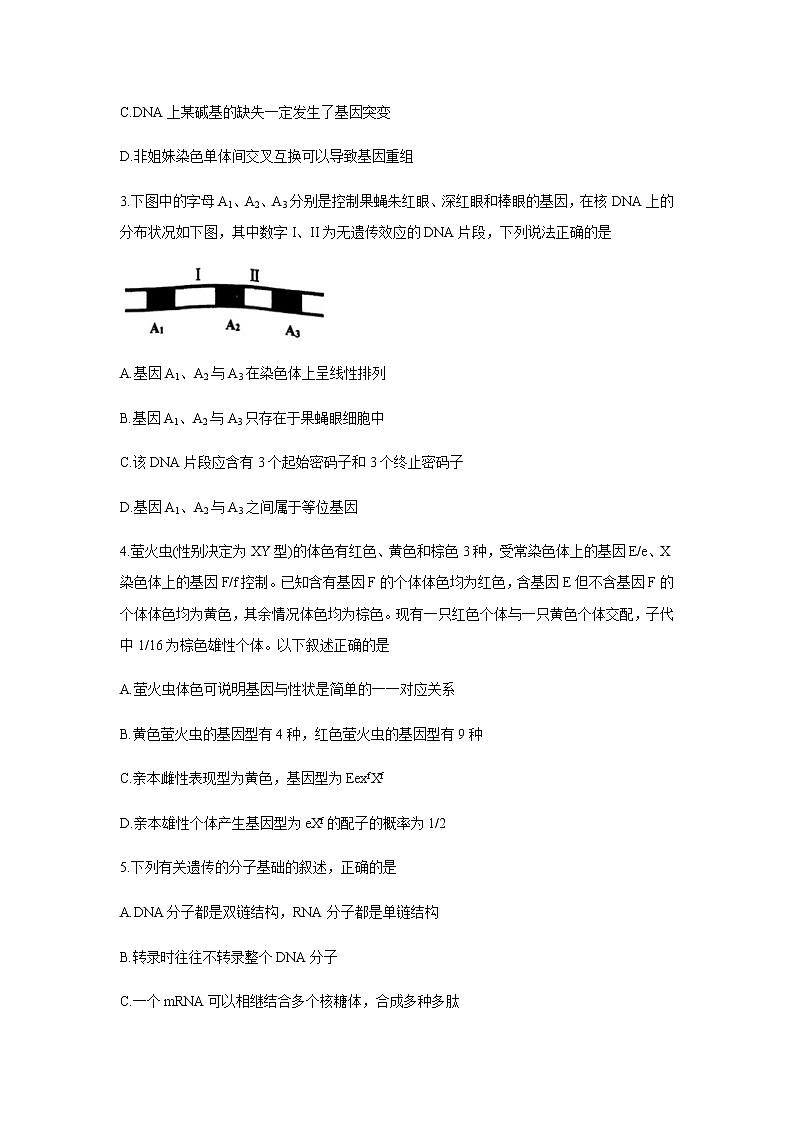 2020-2021学年辽宁省锦州市高一下学期期末生物考试含答案练习题第2页