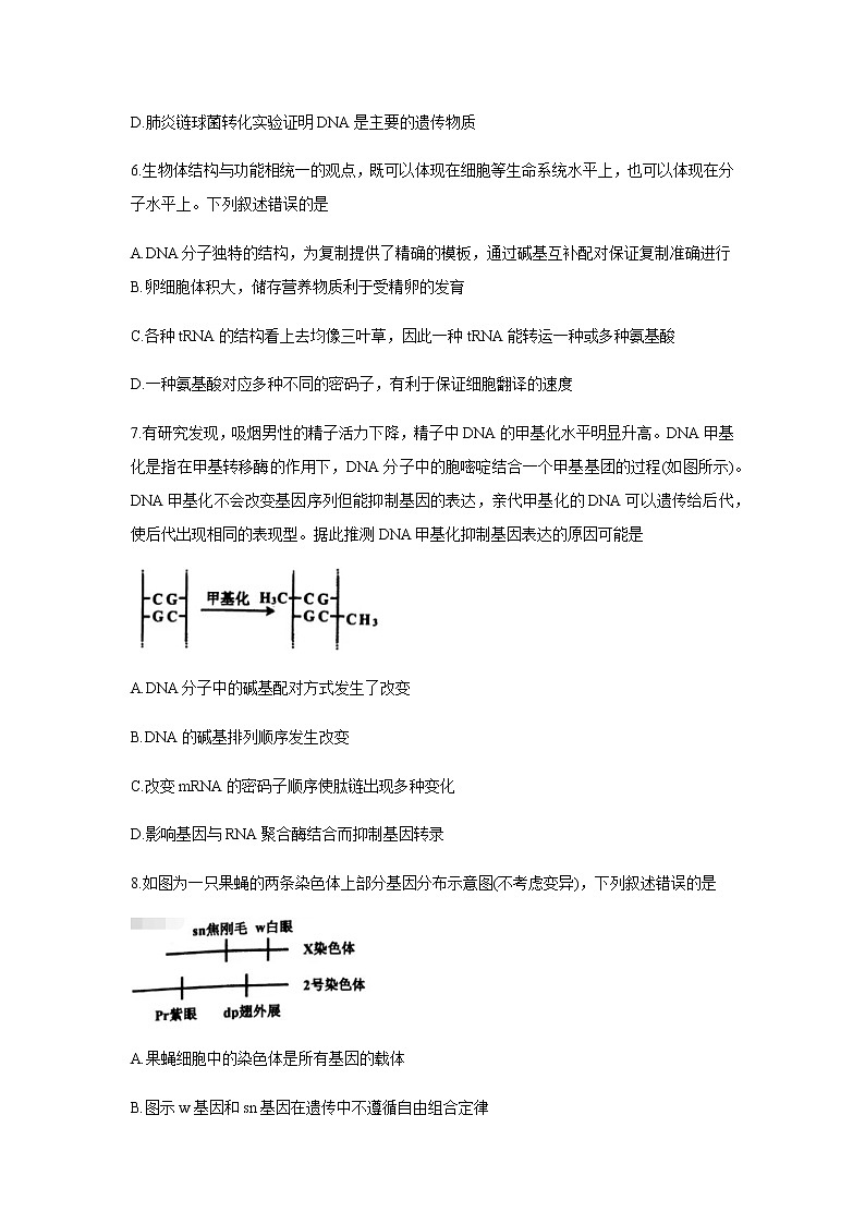 2020-2021学年辽宁省锦州市高一下学期期末生物考试含答案练习题第3页