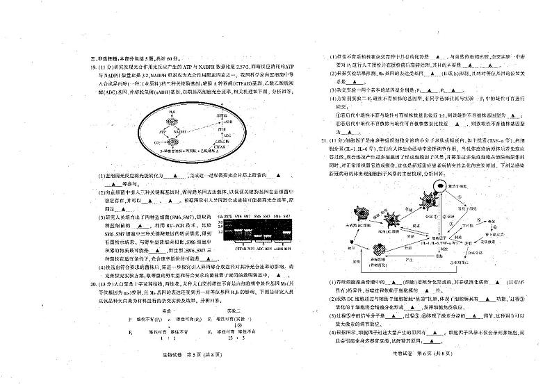 江苏省七市(南通、泰州、扬州、徐州、淮安、宿迁、连云港)2021届高三下学期第二次调研考试生物【试卷+答案】03