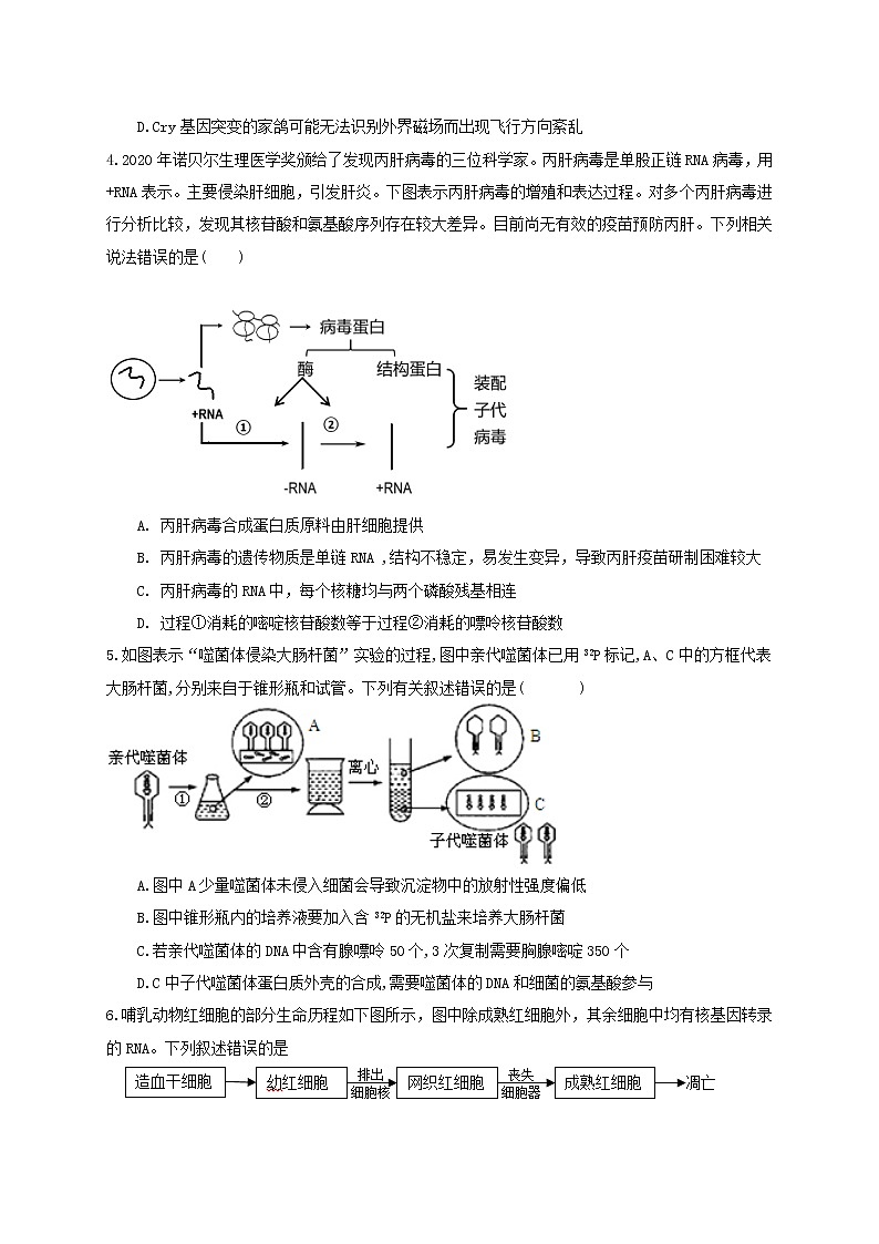 西藏拉萨中学2022届高三上学期第二次月考理综生物试题 Word版含答案02