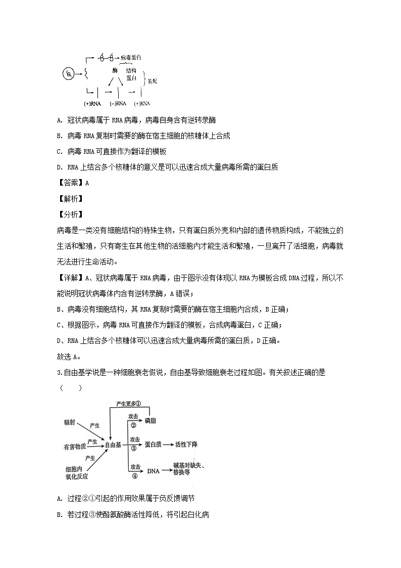 广东省湛江市2020届高三一模考试理综生物试题+Word版含解析02