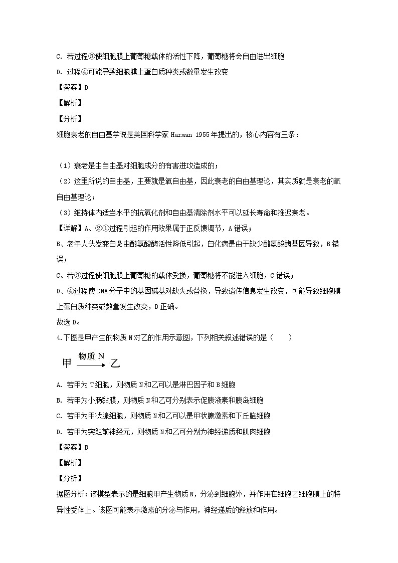 广东省湛江市2020届高三一模考试理综生物试题+Word版含解析03