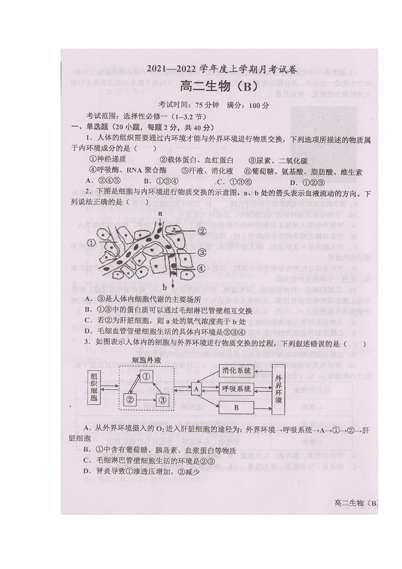 辽宁省辽东南协作体2021-2022学年高二上学期第一次月考生物试题 扫描版含答案01