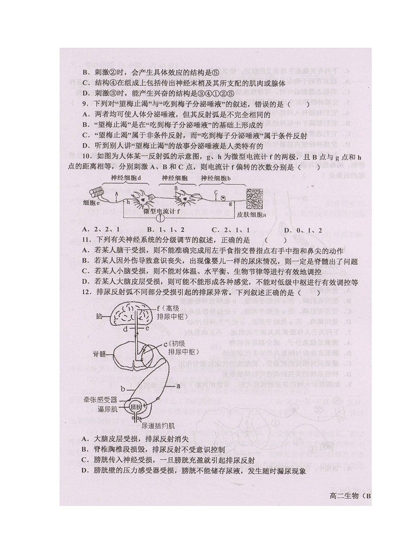 辽宁省辽东南协作体2021-2022学年高二上学期第一次月考生物试题 扫描版含答案03