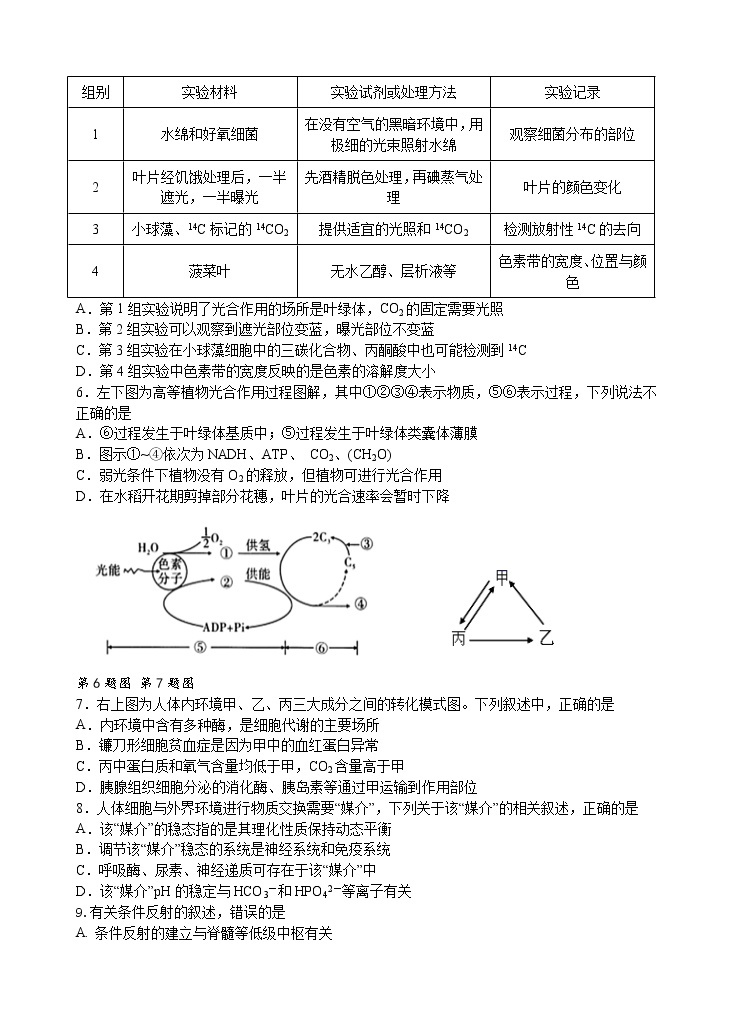 广东省汕头市金山中学2021-2022学年高二上学期期中考试 生物 Word版含答案02