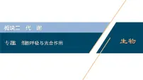 专题05 细胞呼吸与光合作用-2021年高考生物二轮模块复习课件(共124张PPT)