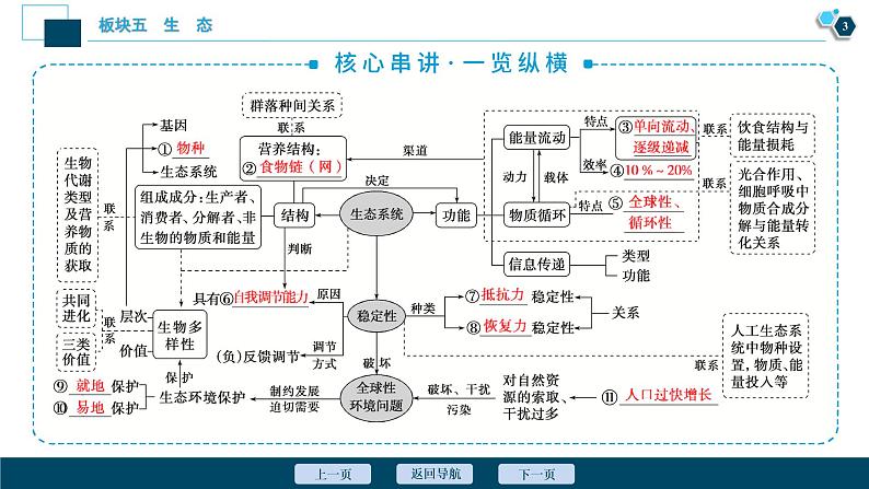 专题13 生态系统和环境保护-2021年高考生物二轮模块复习课件(共110张PPT)04