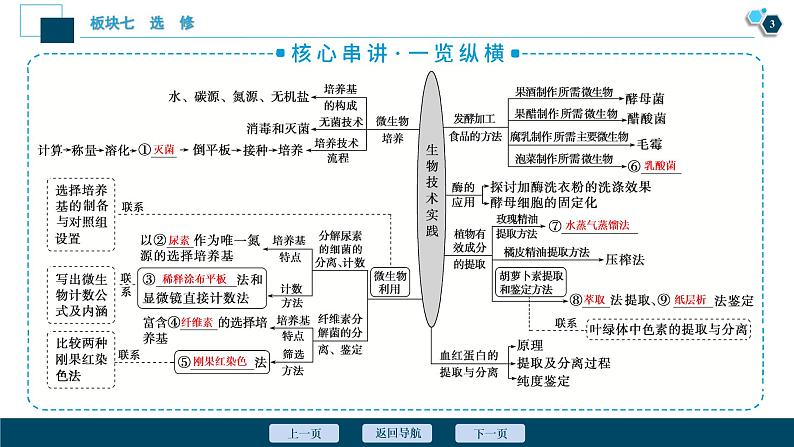 专题15 生物技术实践-2021年高考生物二轮模块复习课件(共141张PPT)第4页
