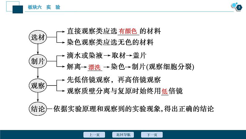 专题14 实验与探究-2021年高考生物二轮模块复习课件(共131张PPT)第6页