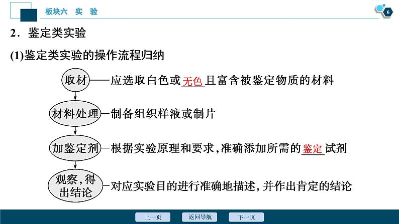专题14 实验与探究-2021年高考生物二轮模块复习课件(共131张PPT)第7页