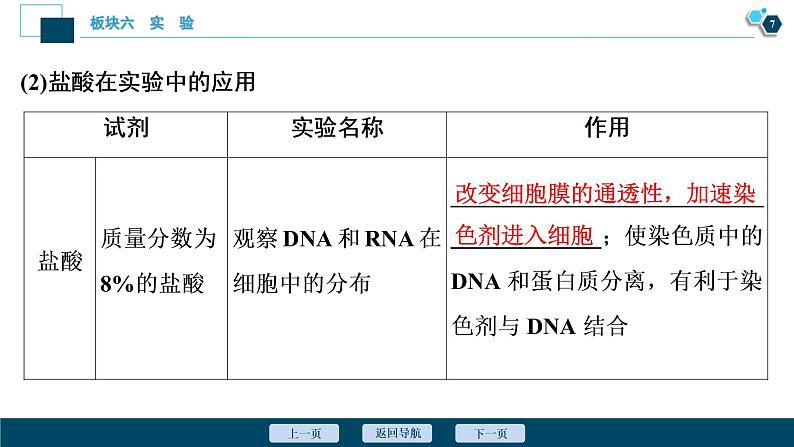 专题14 实验与探究-2021年高考生物二轮模块复习课件(共131张PPT)第8页