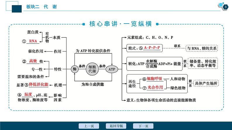 专题04 细胞内的酶与ATP-2021年高考生物二轮模块复习课件(共68张PPT)第4页