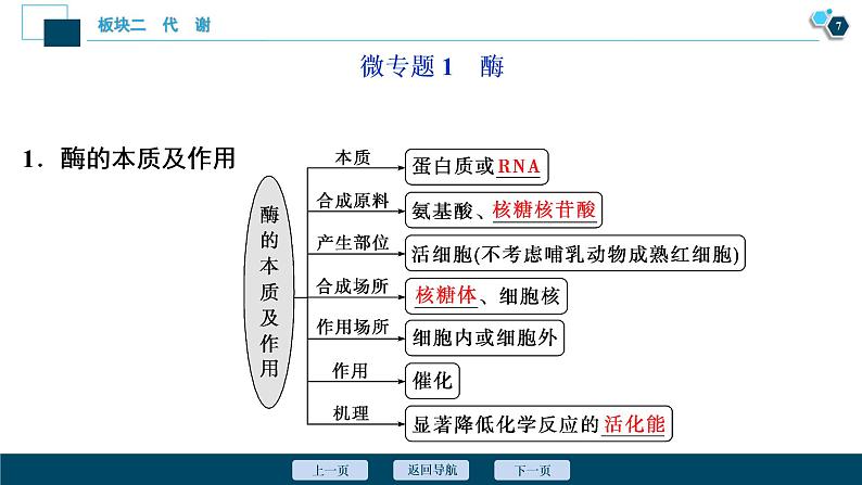 专题04 细胞内的酶与ATP-2021年高考生物二轮模块复习课件(共68张PPT)第8页