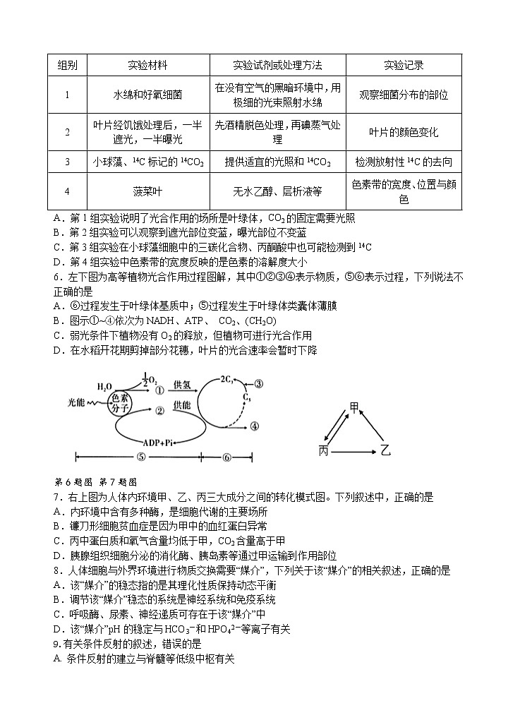 2021秋期中考试 生物试卷第2页