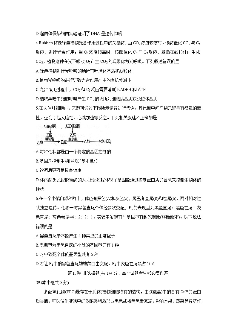 四川省成都市新都区2022届高三上学期毕业班摸底诊断性测试 生物 含答案第2页